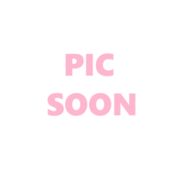 KittyCatKat Sweet Satin Blue Sky - Satin, Blue Point Female Siamese Cooming Soon